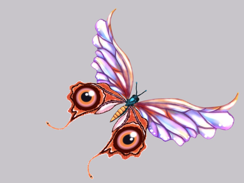  蝴蝶3d模型 