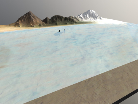  海洋  鲨鱼绑定动画3d模型 