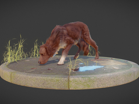  流浪狗3d模型 