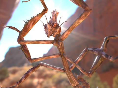  阿修罗螳螂3d模型3d模型 