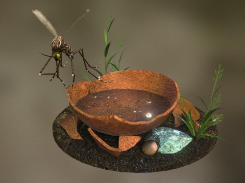  蚊子3d模型 
