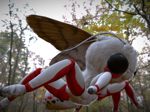  可爱飞蛾3d模型 