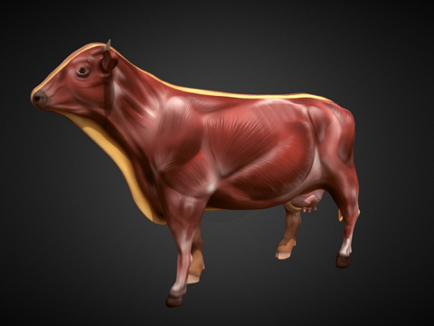  奶牛3d模型 