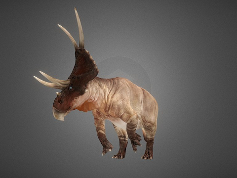  恶魔角龙伊顿种3d模型 