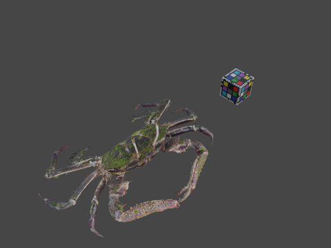  知识共享零 哨兵蟹   短指相手蟹短指相手蟹属3d模型 