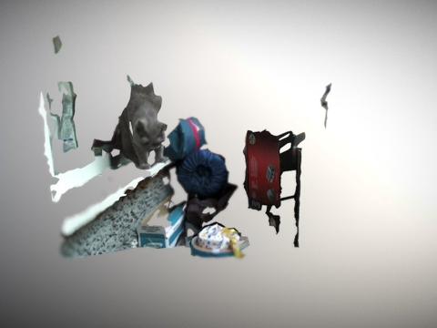  D视频R200 06猫3d模型 