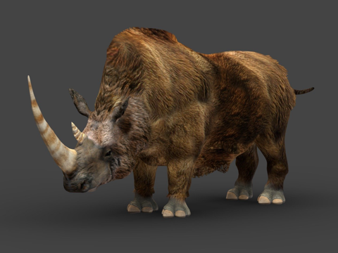  披毛犀绑定骨架3d模型 