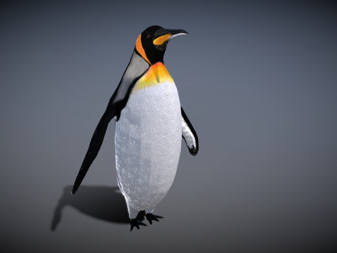  帝企鹅3d模型 