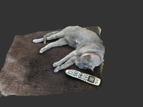 尤里  睡觉时扫描的猫3d模型 