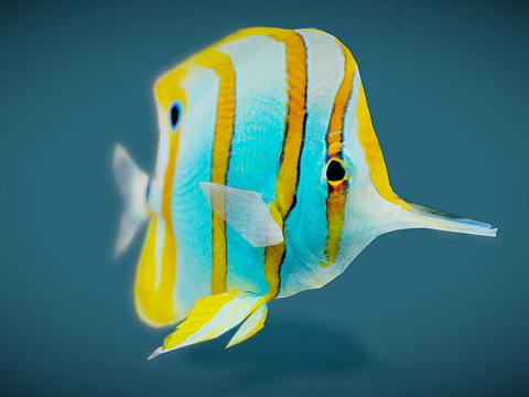  蝴蝶鱼3d模型 