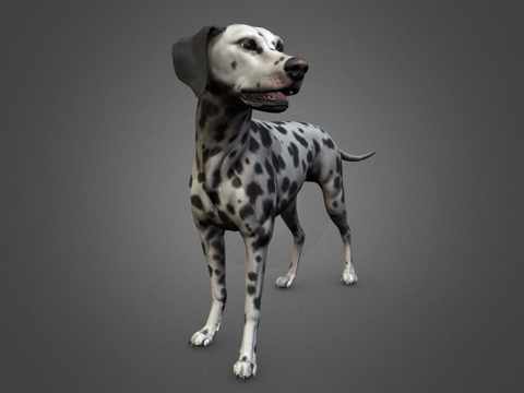  斑点狗3d模型 