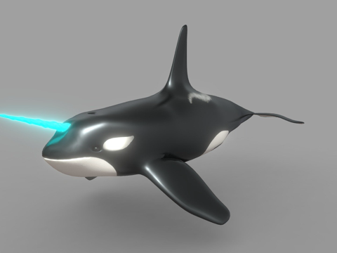  虎鲸3d模型 