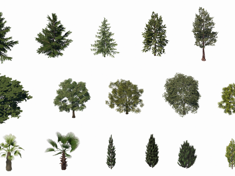 3D常用乔木绿植su模型