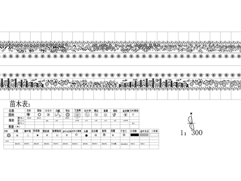 道路绿化 景观植物种植配置 标准段平面图 苗木表cad施工图