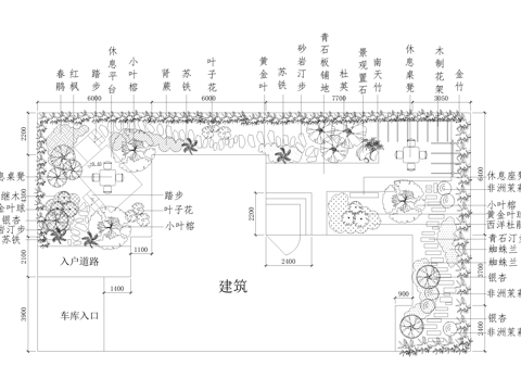 庭院 植物绿化平面图cad施工图