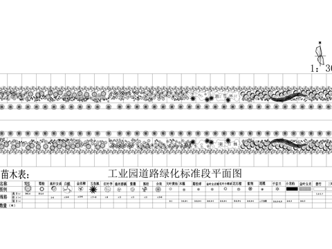 路侧绿化带景观 道路绿化平面图 植物种植配置 苗木表cad施工图