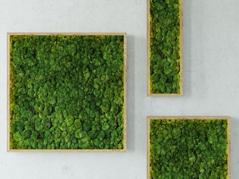  苔藓模块23d模型 