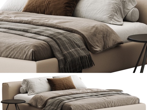  卡佩利尼超长床3d模型 