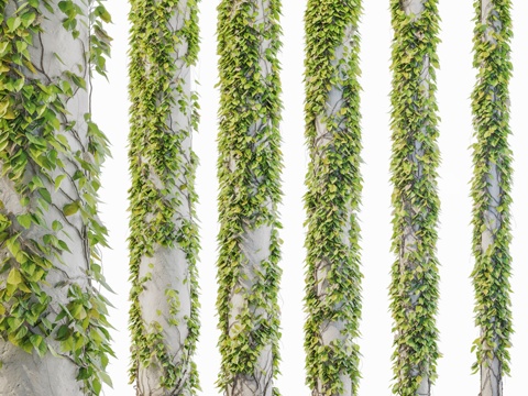  藤蔓缠绕树柱常春藤植物套装3d模型 