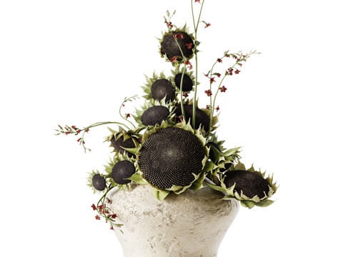  向日葵与香烟草花束3d模型 