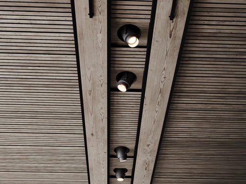  带照明的木质天花板设计3d模型 