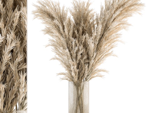  干花植物57 - 干草花束3d模型 