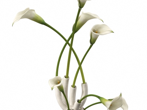  马蹄莲花束023d模型 