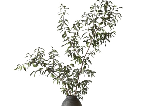  黑色陶瓷花瓶中的绿枝3d模型 