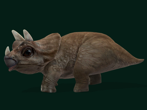  三角龙宝宝恐龙爬行动物3d模型 