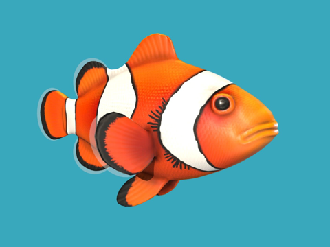  小丑鱼3d模型 