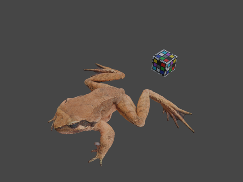  CC0 田子蛙   田子褐蛙R. tagoi tagoi3d模型 