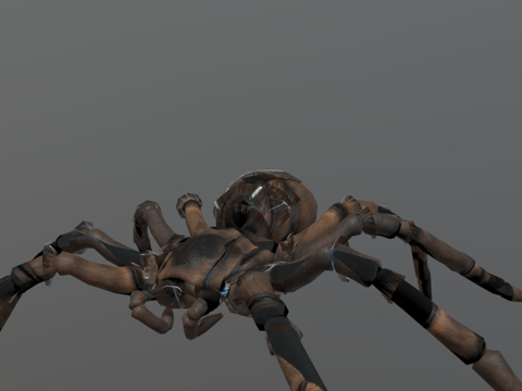  歌利亚食鸟蛛3d模型 