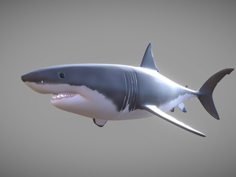  大白鲨游泳3d模型 