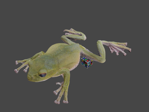  CC0森林绿树蛙3d模型 