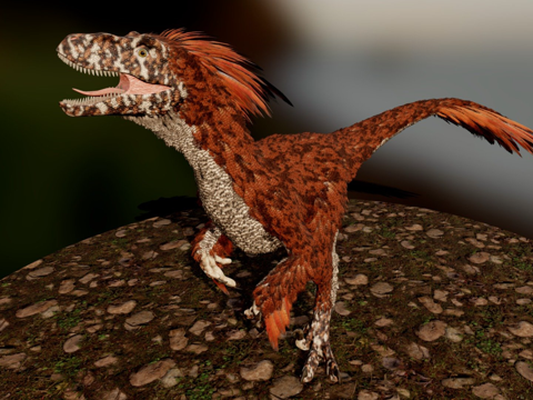  有羽毛的猛禽3d模型 