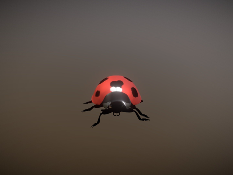  仅带行走动画的瓢虫3d模型 