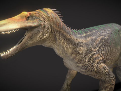  迈普巨胸龙3d模型 