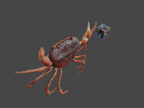  CC0日本淡水蟹3d模型 