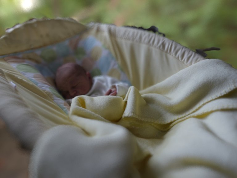  看我成长三维网格3d模型 