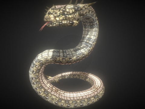  普通龙兽3d模型3d模型 