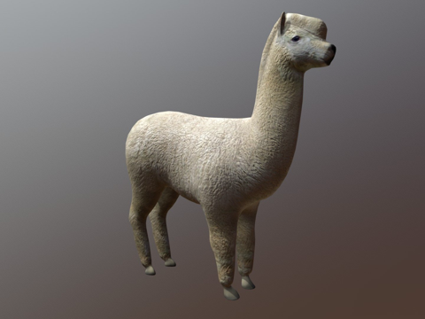  羊驼3d模型 