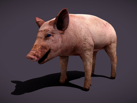  脏猪3d模型3d模型 