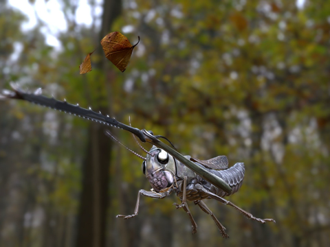  武士蚱蜢3d模型 