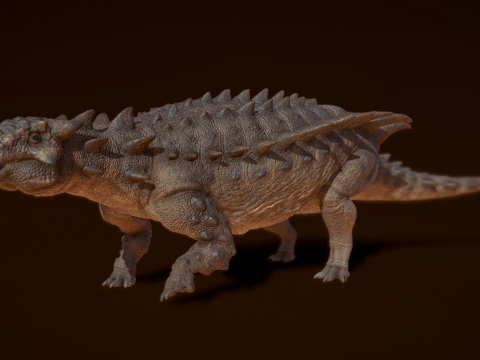  绘龙重建3d模型 