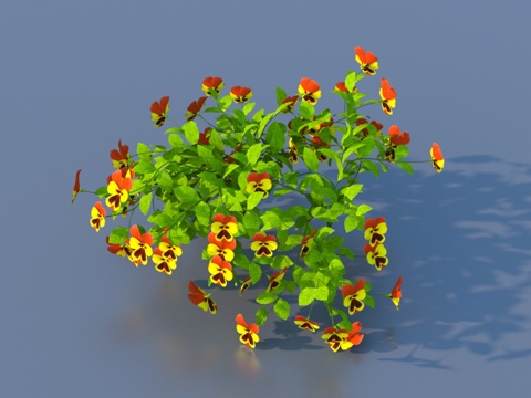  植物 灌木 花草3d模型 