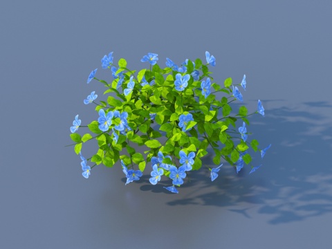  植物 灌木 花草3d模型 