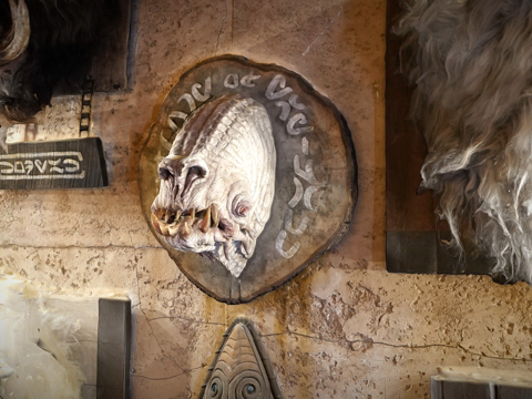  多克翁达斯墙上的生物3d模型 