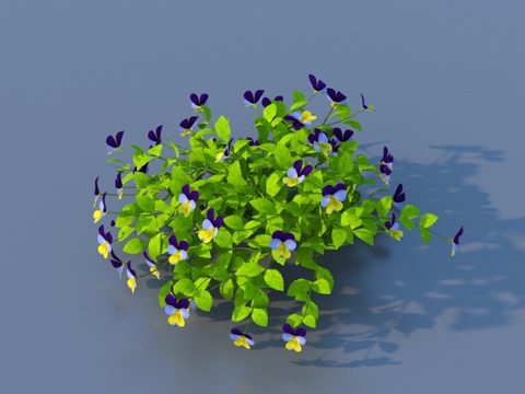  植物 灌木 花草3d模型 