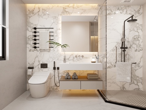  现代卫生间干湿分离3d模型 