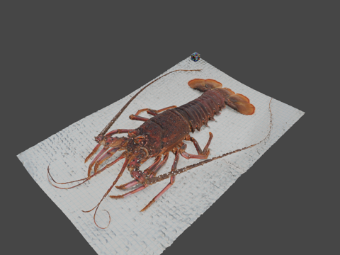  CC0伊势虾日本龙虾日本龙虾3d模型 